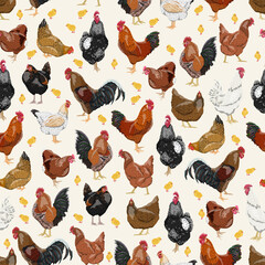 Seamless pattern with domestic hens, roosters and chickens of different colors and breeds. Realistic domestic vector birds Gallus gallus domesticus.