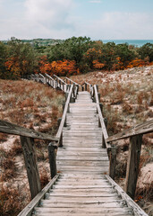 Fototapeta na wymiar Wooden boardwalk stairs laid over the grassy sand dunes leading down into the colorful autumn forest, hiking around Lake Michigan at Indiana Dunes National Park, Indiana, USA on a sunny day during the