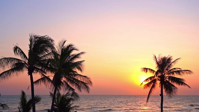 A pink and purple ocean sunset with palm trees in the foreground.