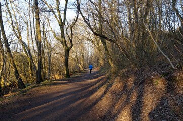 Lone runner in the spring forest 