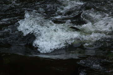 Cascades outdoors in black and white