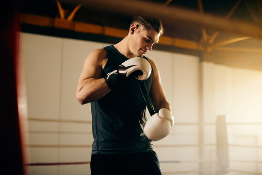 Young fighter adjusting boxing gloves while exercising in a gym.