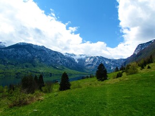 View of Bohinj lake in spring with a beautiful green meadow in front and snow covered peak of Julian alps above the lake