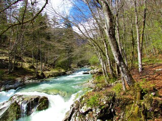 Fototapeta na wymiar Scenic Mostnica river at Mostnica gorge in Julian alps and Triglav national park, Gorenjska, Slovenia in spring