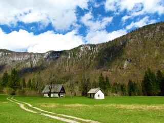 Small huts on a bright green meadow in spring and forest covered mountains rising above in Voje valley, Gorenjska, Slovenia
