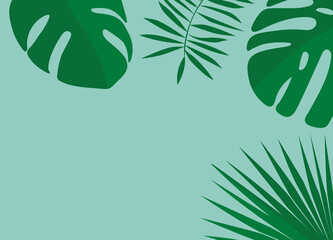 summer top view composition, tropical monstera palm leaves with copy space- vector illustration