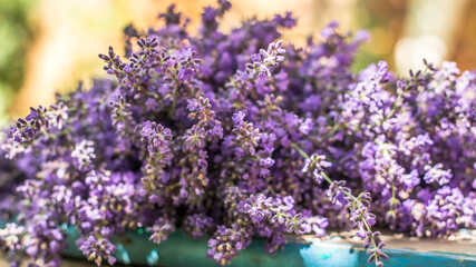 Obraz premium bunch of lavender