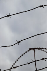 Fototapeta na wymiar barbed wire fence fences barrier