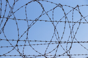 barbed wire fence fences barrier