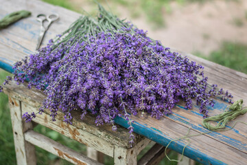 bunch of lavender on wooden background
