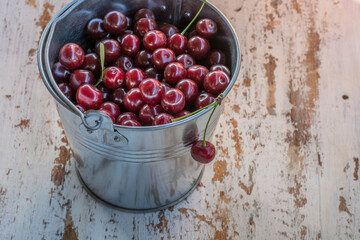 cranberries in a bowl