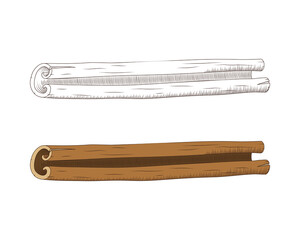 Hand Drawn Engraved style Cinnamon Sticks Vector Illustration Isolated on White Background. Cooking and aromatherapy ingredient. Sketch Style spice and flavor object. Seasonal food