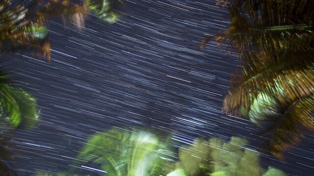Vertical Time Lapse shot of Stars Trails from Forest, Goa, India