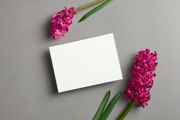Invitation or greeting card mockup with spring hyacinth flowers on grey paper background