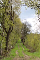 Wandern auf den Nordpfaden in Rotenburg Wümme nahe der Gemeinde Elm (Hiking in North-Western Germany) | Feldwege und Wolken (field paths and clouds)