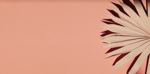 Fototapeta premium pink palm branch on pink background with deep shadow. Minimal summer exotic concept. Botanical nature design. decoration in interior. banner 