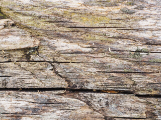 Old rusty weathered wood background with scratches and cracks with patina.