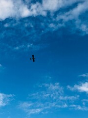 Fototapeta premium silhouette of a person in the sky