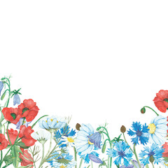 Watercolor hand painted nature wild floral composition with red poppy, white chamomile, blue cornflowers, lilac bluebell and green stems bouquet on the white background with space for text
