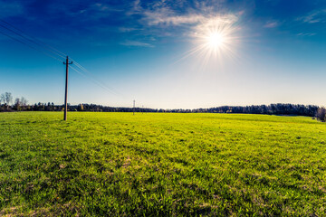 Meadow with electric poles in the woods on a background of blue sky with clouds and sun