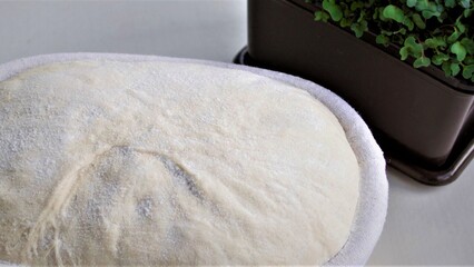 Proofed homemade dough in a rattan basket