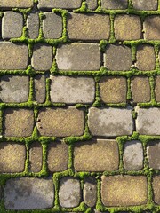 green plant growing through brick wall