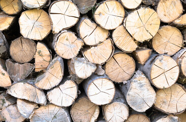 Wood logs stacked up in a pile