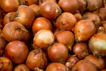 Obraz premium Vegetables Pictures. great for menu and supermarkets