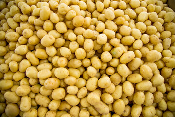 Vegetables Pictures. great for menu and supermarkets