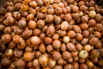 Vegetables Pictures. great for menu and supermarkets