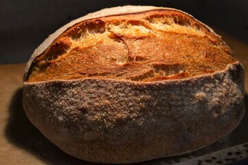 Golden homemade bread with a crispy crust. In the electric light of the oven