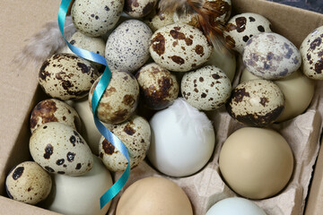 Chicken and quail eggs in the tray