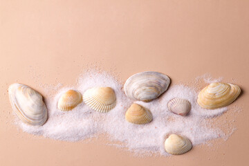 Summer beach concept with sea shells on the sand.