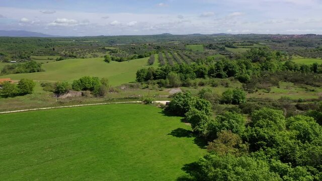 Flying with the drone on a green prairie with trees and olive trees.
Aerial view of a green prairie with with trees and olive trees.