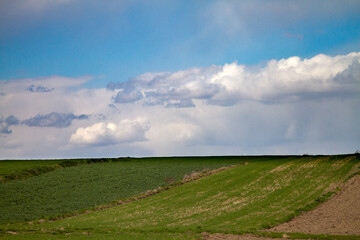 Naklejka premium field and blue sky