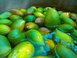 Mangoes Fruit