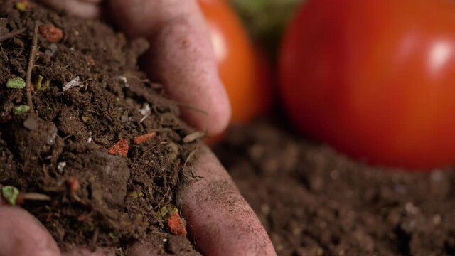 microplastics in soil. micro plastic in sea, freshwater, land environment and organisms. plastic rubbish in the oceans and soil. soil ecosystems, agricultural land, agriculture, farming.