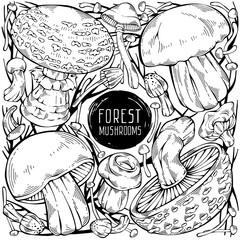Cute hand-drawn forest set. Black and white vector collection of assorted wild mushrooms and dry branches. Can be used for menu design, label, icon, recipe, packaging, web. Creative seasonal design