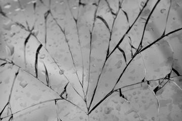 Shattered windscreen of a car broken in an accident