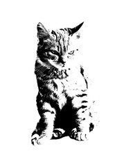 Fototapeta na wymiar Kitten Cat Stencil Style Graphic