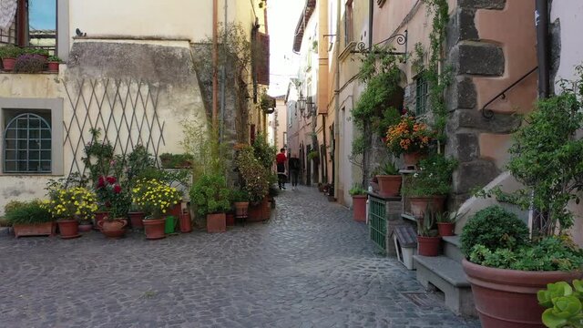 The village of Trevignano on the lake of bracciano
The flowering alleys of the small village of Bracciano lake