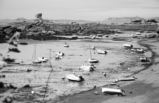 Brittany, France. Boats and people at Pink Granite Coast during low tide. The coast between Perros-Guirec and Ploumanach is one of most popular Breton resorts for family vacation. Black white photo
