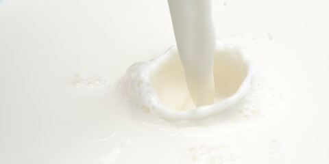 Close up splash milk 