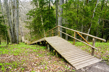 long wooden stairway for walks by nature park visitors