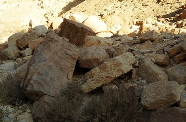 Hiking in Nahal Shani, South Israel