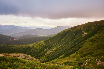Fototapeta premium mountain view with brown and green grass. Carpathians