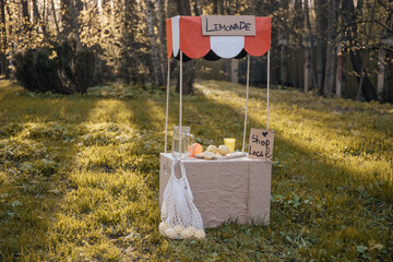 toddler girl selling lemonade in kids little lemonade stand