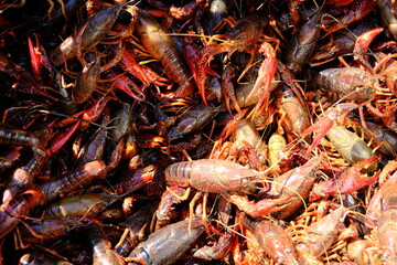 Crawfish Before The Boil