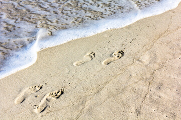 Footprints in the sand