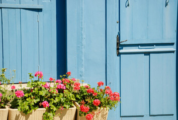 A wooden house door and geranium flowers in the boxes in sunny day. Brittany, France.